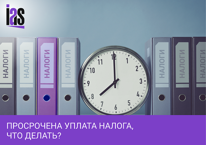 Штраф за непредставление налоговой декларации: как проверить, что у вас есть задолженность?