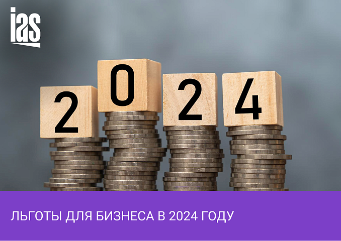 Как бизнесу получить поддержку от государства в 2024 году