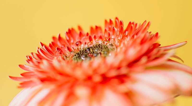 Аудит для финансовых организаций